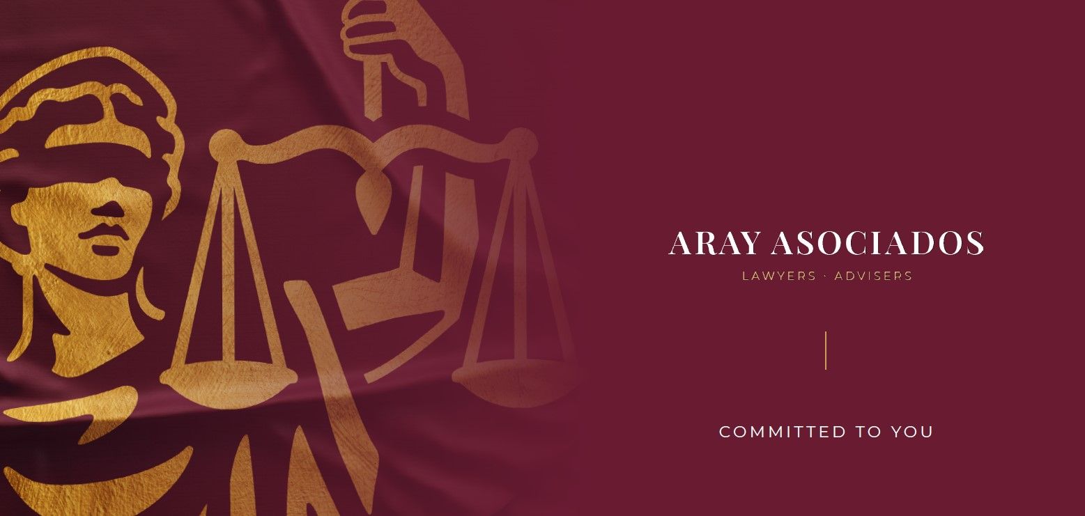 Dossier Aray Asociados